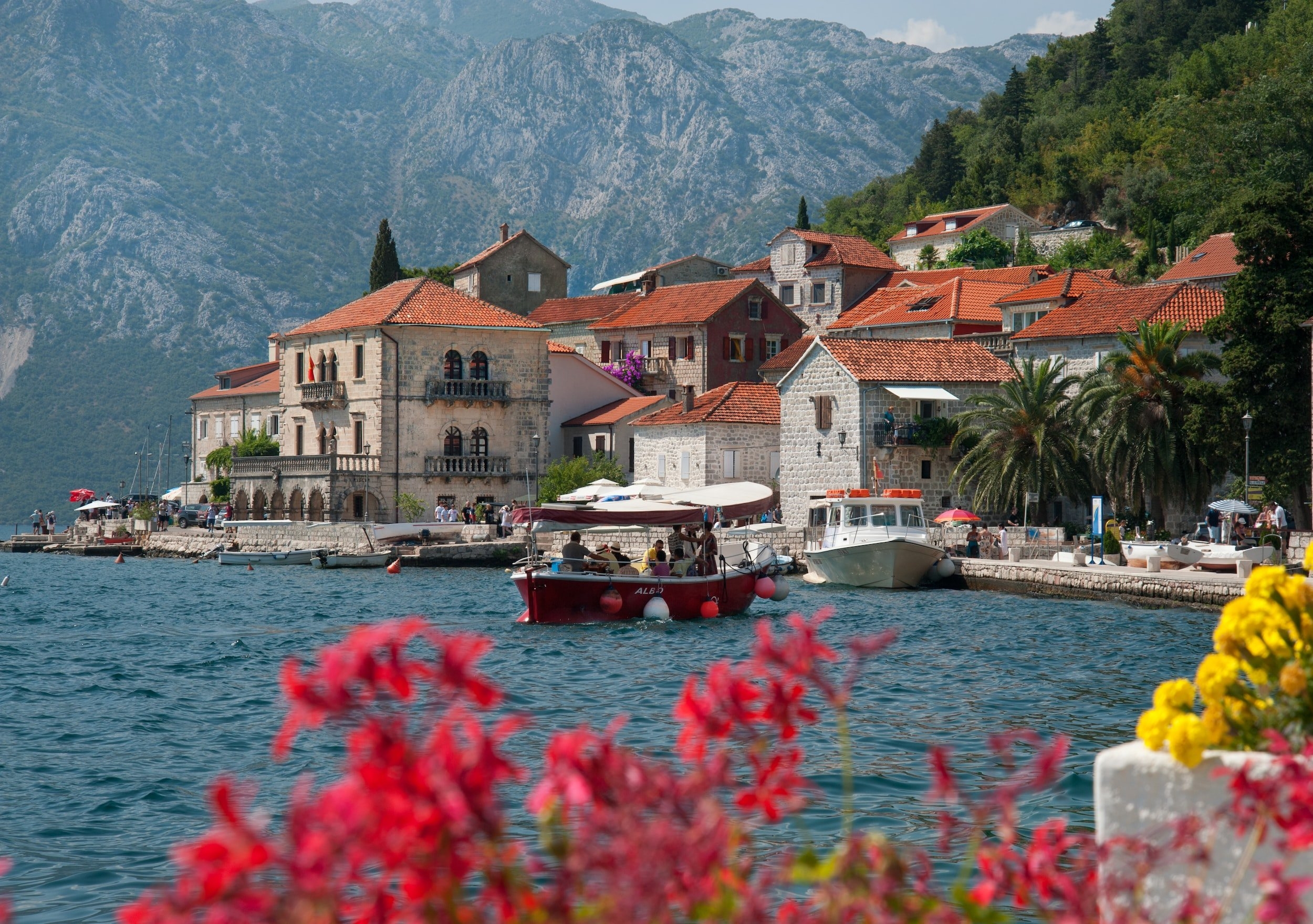 Boat on the waters of Kotor Bay in summer surrounded by blue waters, flowers and mountains